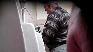 Primo piano della gi ...